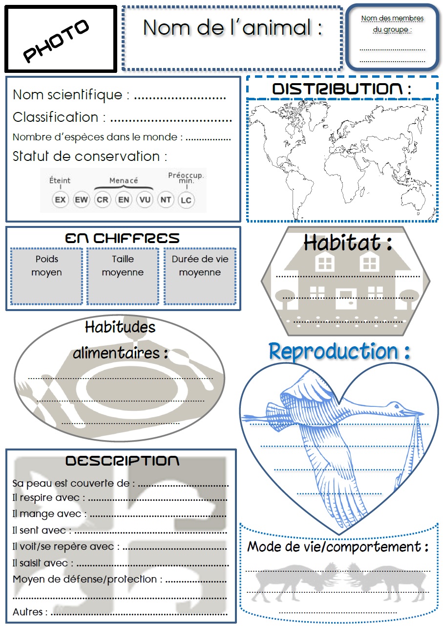 Pour Faire Un Expose Sur Un Animal Ma Maitresse De Cm1 Cm2